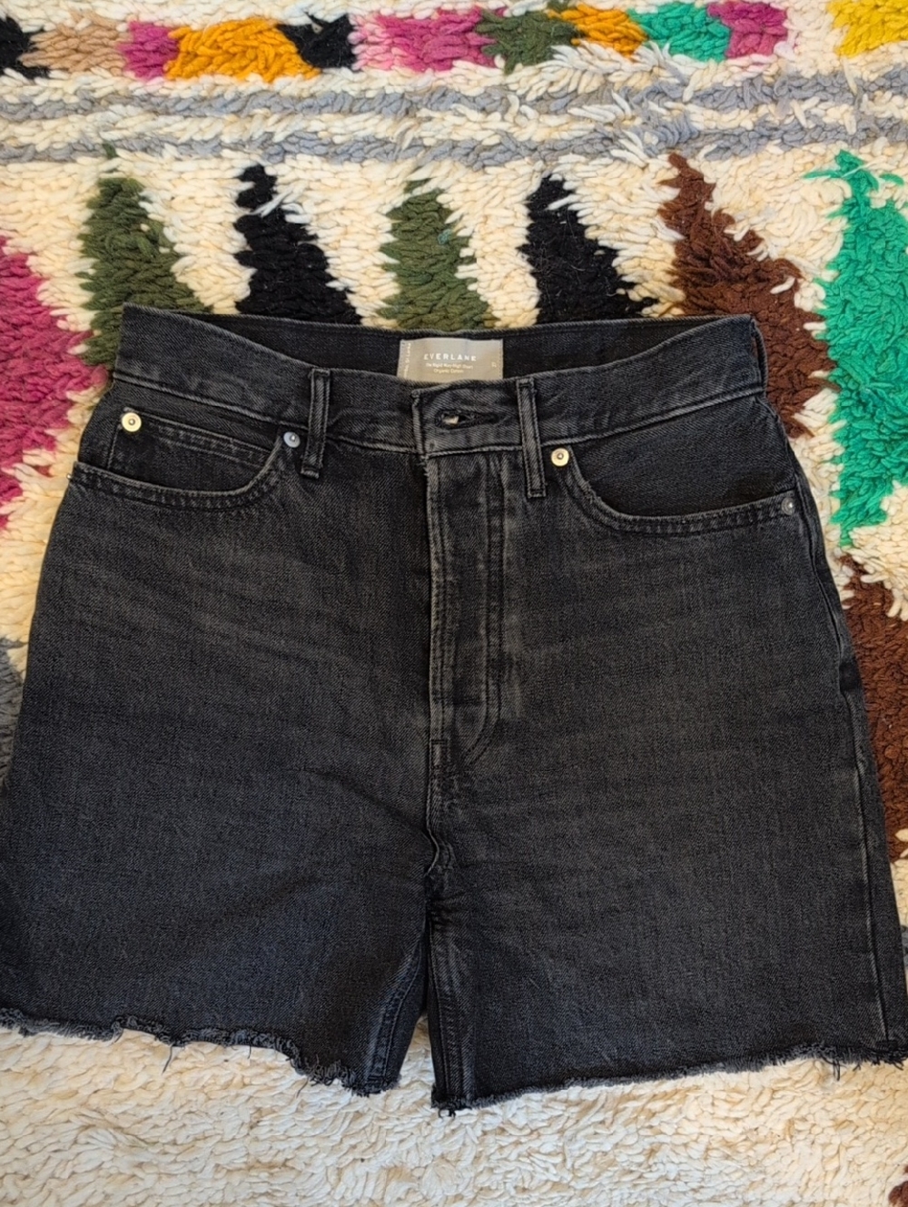 Everlane Size 27 Rigid Way Denim Short
